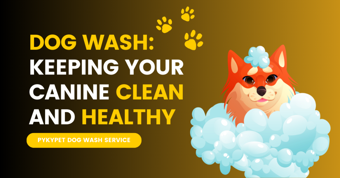 Dog Wash: Keeping Your Canine Clean and Healthy
