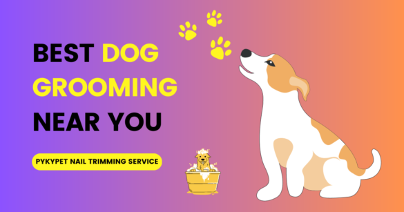 Dog grooming near summerside