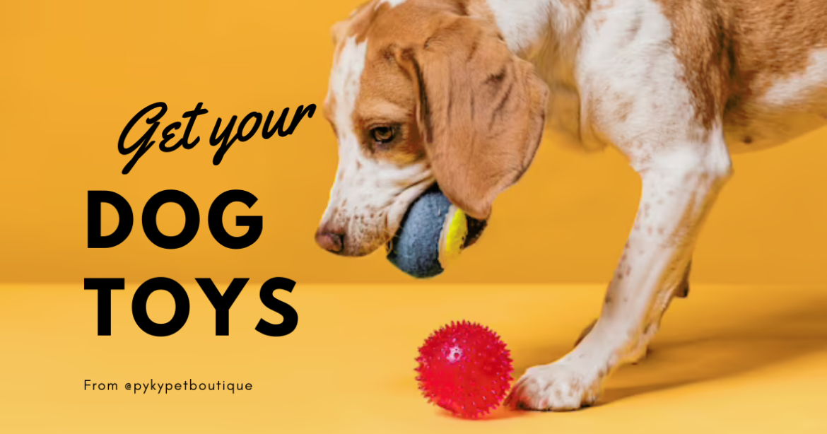 dog toys feature image