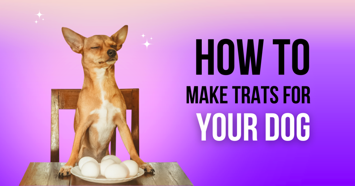 how to make dog treats